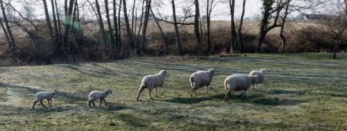 2025-02-17-Seuillet05