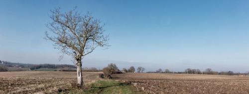 2025-02-17-Seuillet09