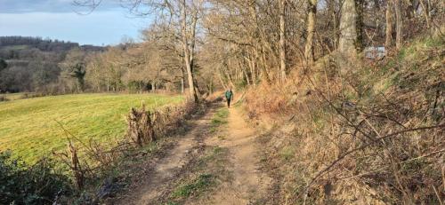 2025-02-20-Busset06