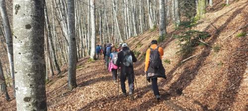 2025-02-20-LaChabanne18