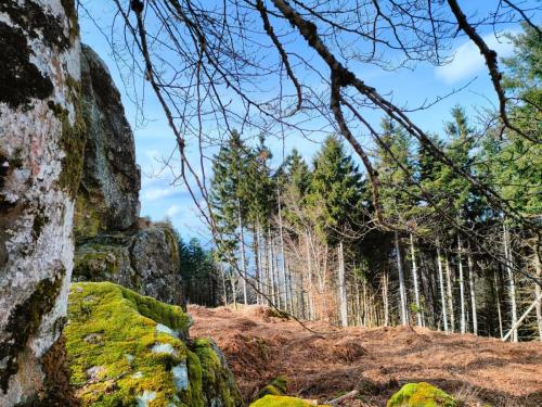 2025-02-20-LaChabanne20