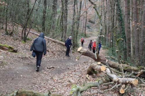 2025-02-25-Montpeyroux04