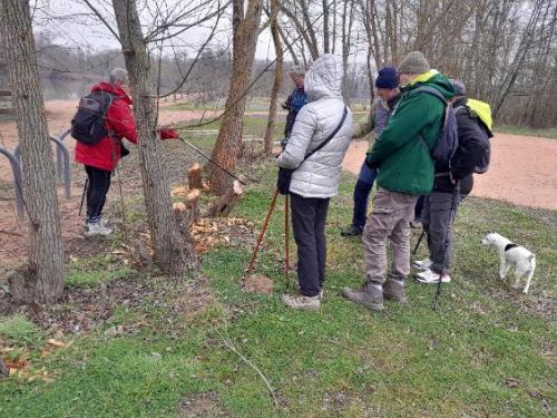 2025-03-17-StGermain03 (1)