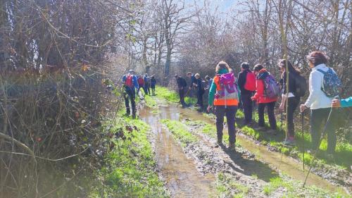 2025-03-18-StChristophe13