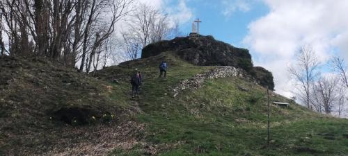 2025-03-27-Lavoine09