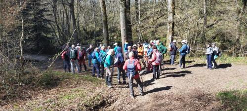 2025-04-01-Nizerolles06 (1)