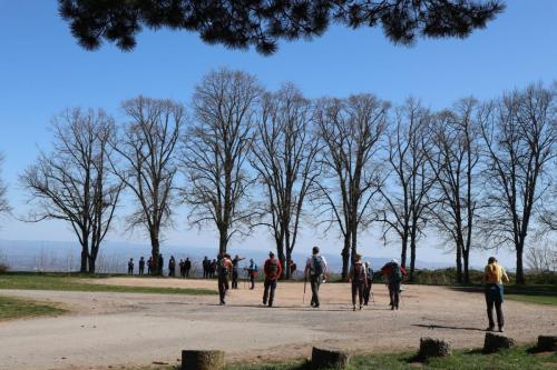2025-04-08-ChatelG24