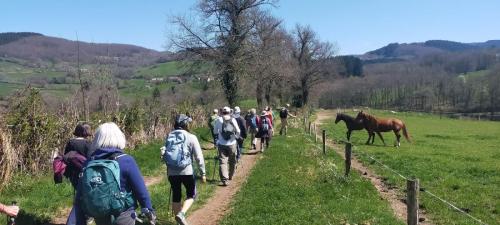 2025-04-10-ChatelMontagne07