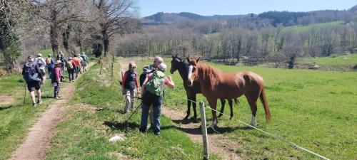 2025-04-10-ChatelMontagne08