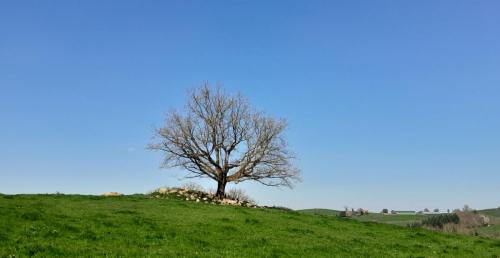 2025-04-10-ChatelMontagne15