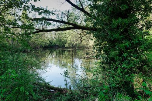 2025-04-13-Hauterive10