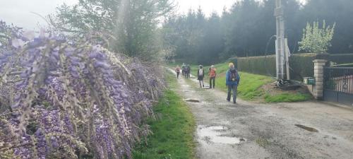 2025-04-14-Busset01