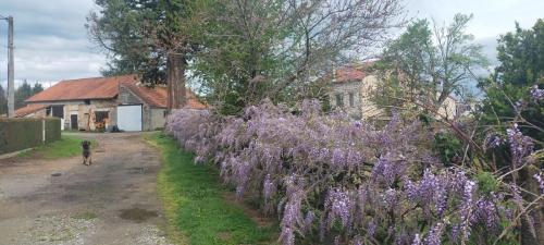 2025-04-14-Busset02