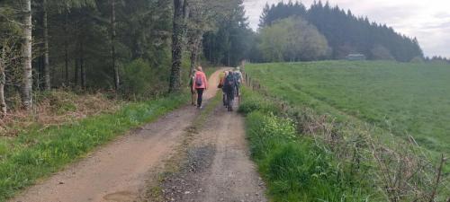 2025-04-14-Busset03