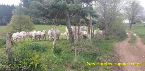 2025-04-14-Busset06
