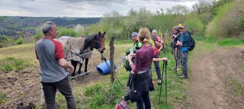 2025-04-14-Busset12 (1)