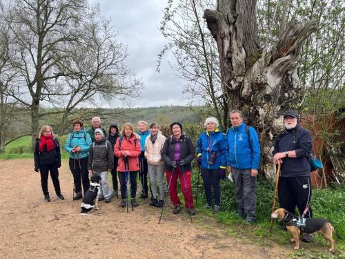 2025-04-17-Molles10 (1)