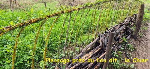 2025-04-24-LeMayet08