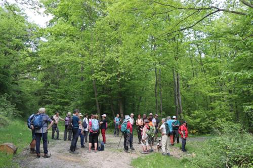 2025-04-29-StSylvestre02