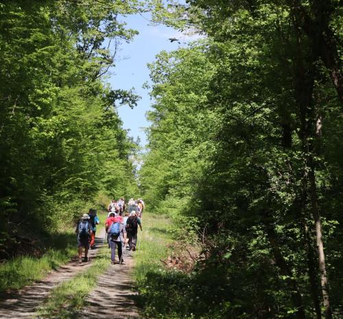 2025-04-29-StSylvestre03