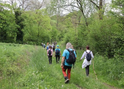 2025-04-29-StSylvestre06