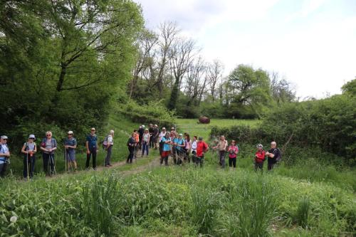 2025-04-29-StSylvestre07