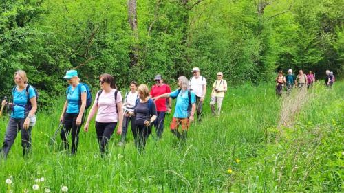 2025-04-29-StSylvestre16