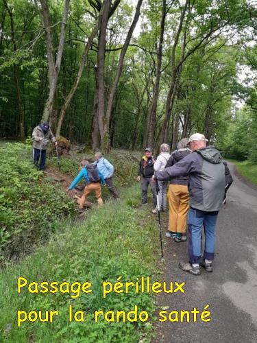 2025-05-05-Brugheas02