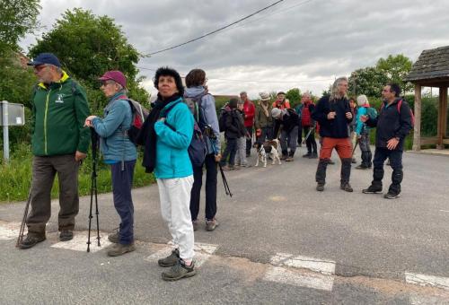 2025-05-06-LaBruyere08