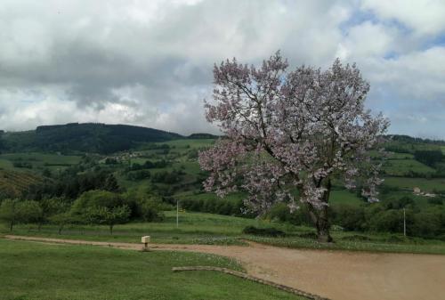 2025-05-06-StPierreLaval02