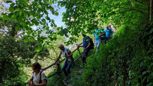 2025-05-13-Verneuil04 (1)