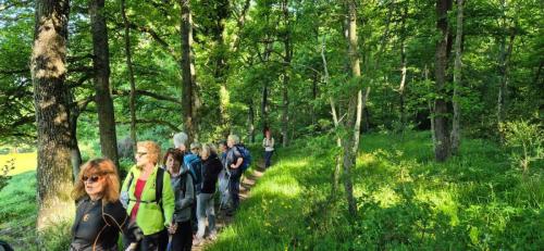 2025-05-15-LeVernet15