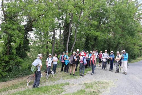 2025-05-27-Ebreuil27 (1)