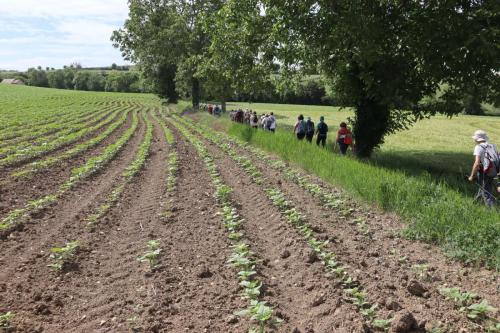 2025-05-27-Ebreuil29