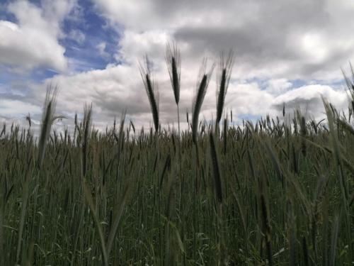 2025-05-27-Sauret05