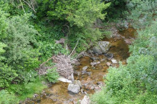 2025-06-04-StSauveur03