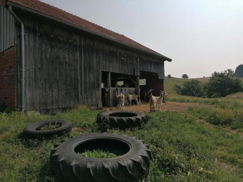 2025-06-10-LeBreuil03