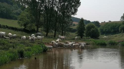 2025-06-10-LeBreuil06