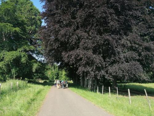 2025-06-12-Orcival04