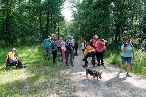2025-06-12-StDidier06