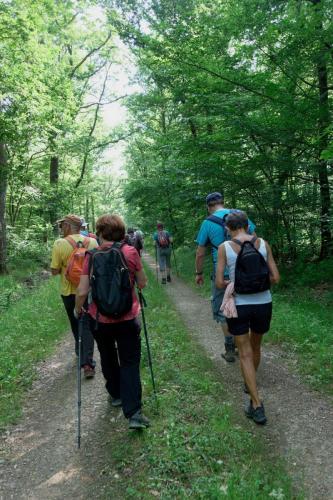 2025-06-12-StDidier08