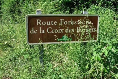 2025-06-12-StDidier10