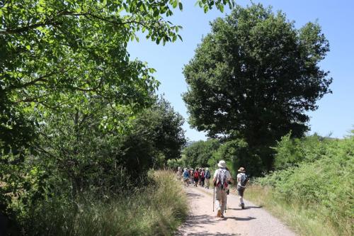 2025-06-17-Chouvigny03