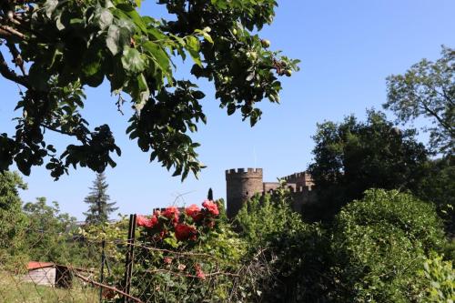 2025-06-17-Chouvigny08