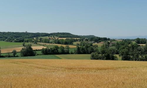 2025-06-17-Randan05