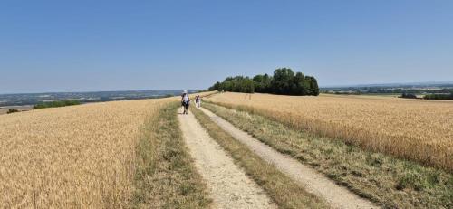 2025-06-19-Ussel02