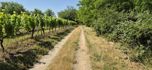 2025-06-19-Ussel05
