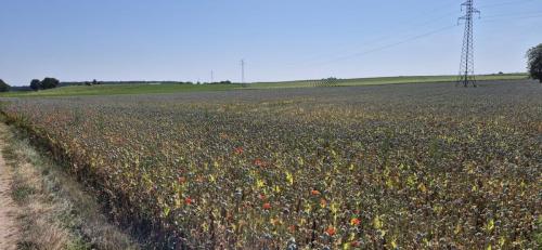 2025-06-19-Ussel08