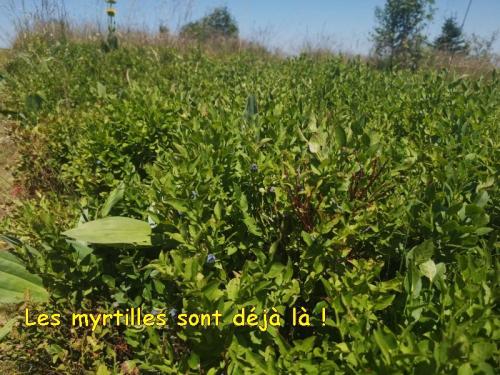 2025-07-01-Lavoine21