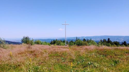 2025-07-01-Lavoine23